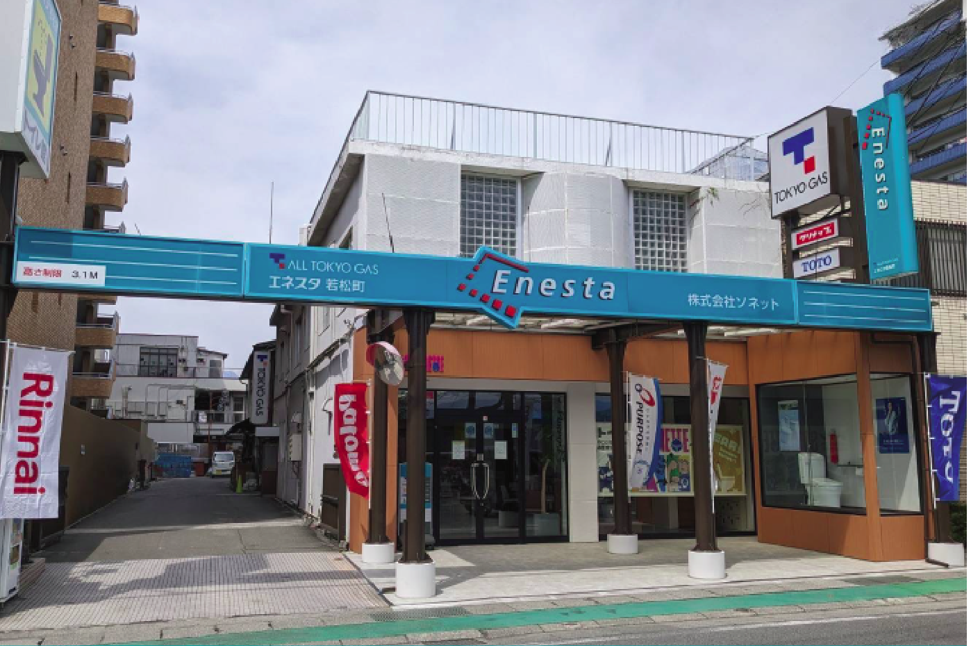 enesta_wakamatsu.png